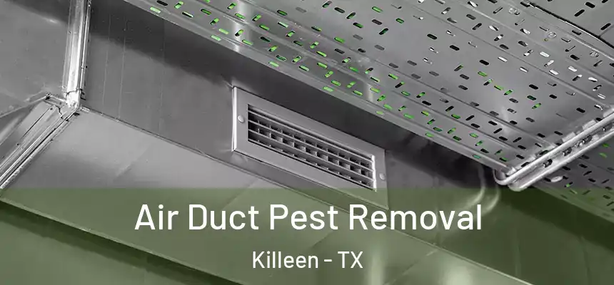  Air Duct Pest Removal Killeen - TX