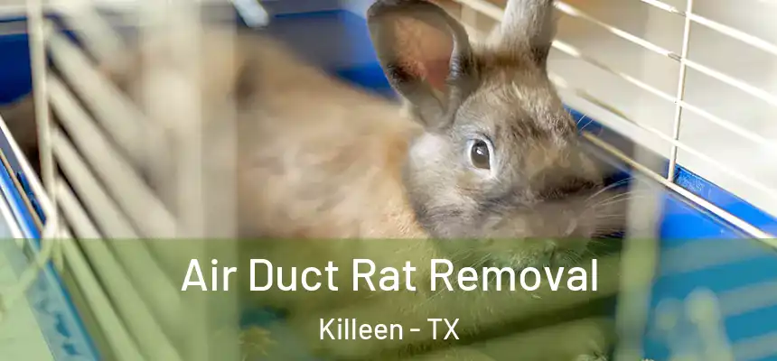  Air Duct Rat Removal Killeen - TX