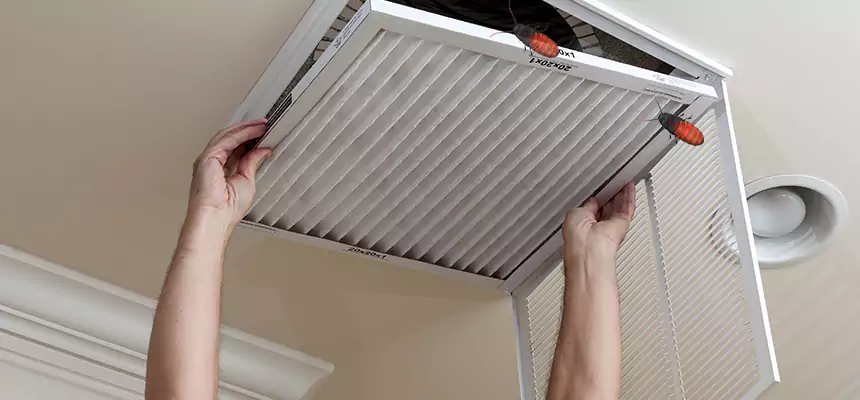 Preventive Cockroach-Proofing for Ducts in Killeen