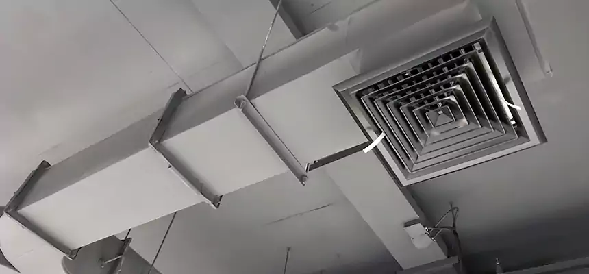 Restorative Allergy Relief Vent Cleaning – Coil, Blower & Housing Detail in Killeen