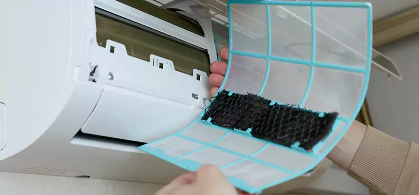 Gentle Ductwork Odor-Control Pet Dander Duct Cleaning in Killeen, TX