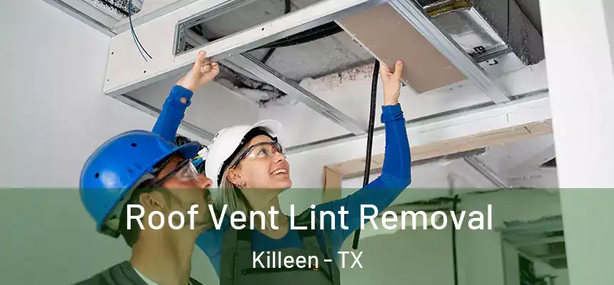 Roof Vent Lint Removal Killeen - TX