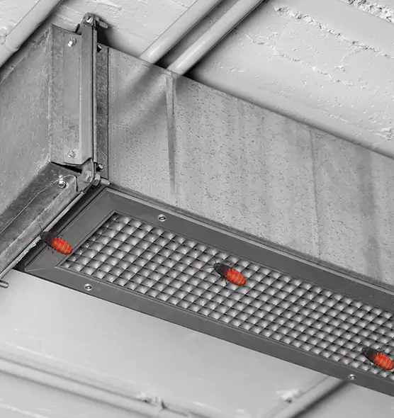 About Air Duct Cockroach Removal in Killeen, TX