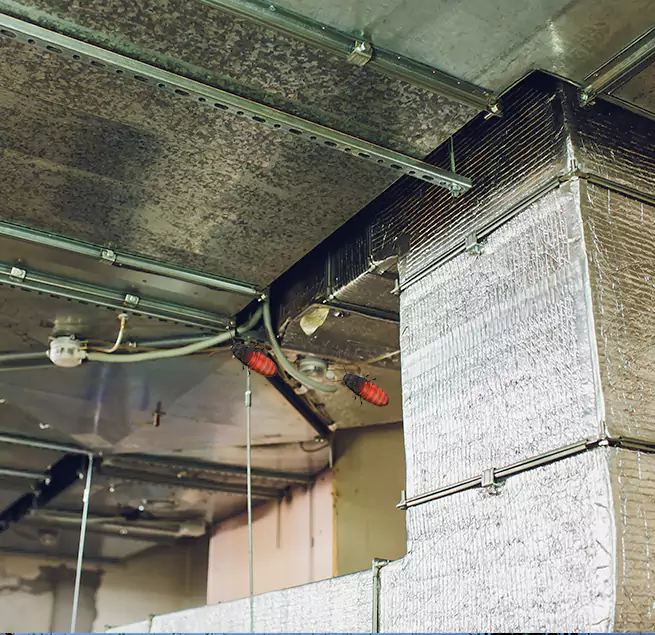 Why Homeowners & Businesses Trust Us in Killeen, TX?