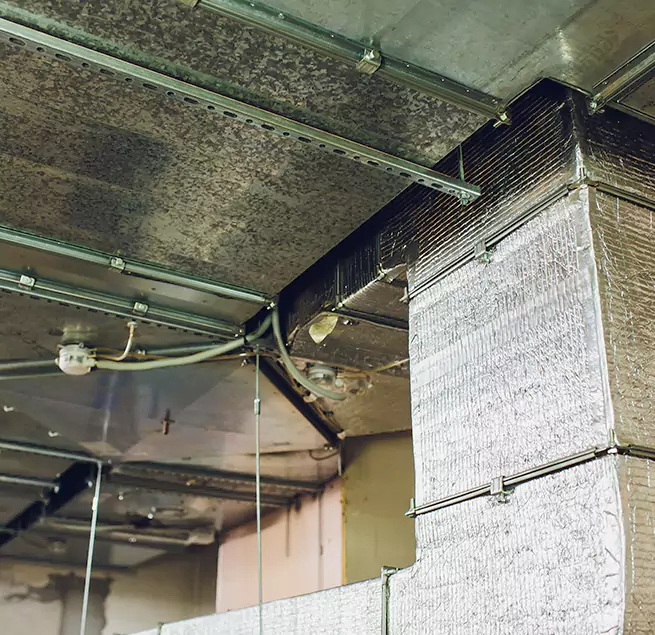 Why Homeowners & Businesses Trust Us in Killeen, TX?